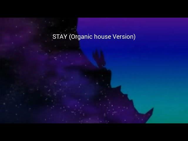 STAY (Organic house Version) BGA