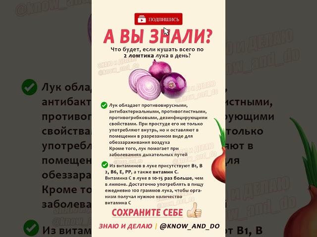  Лук польза для организма человека  Какие витамины содержит лук репчатый #знаюиделаю