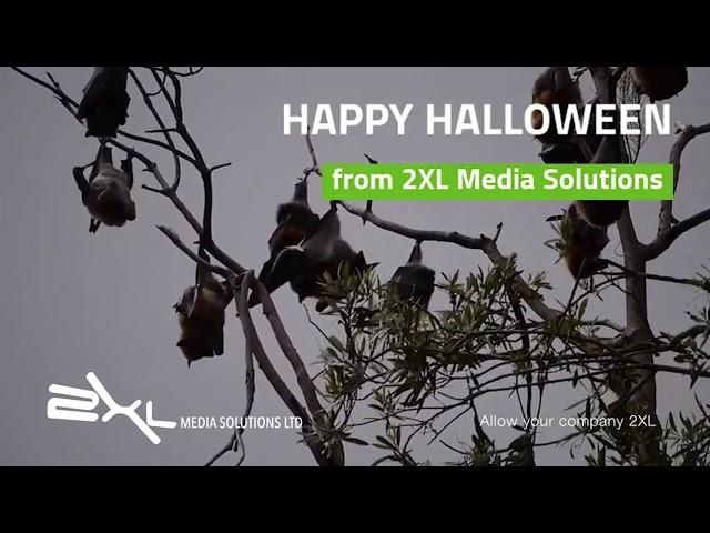 Happy Halloween from 2XL Media Solutions.