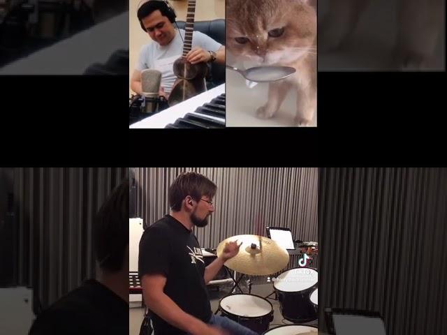 Funny Cat Music Duet with Sherzod Ergashev