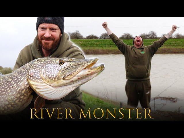 31lb River Pike - 20 Year Quest