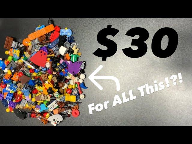 All This For $30? Insane LEGO Fig Parts Haul