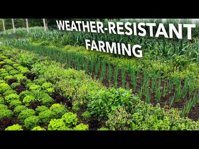 How to Create a TRULY Resilient Farm