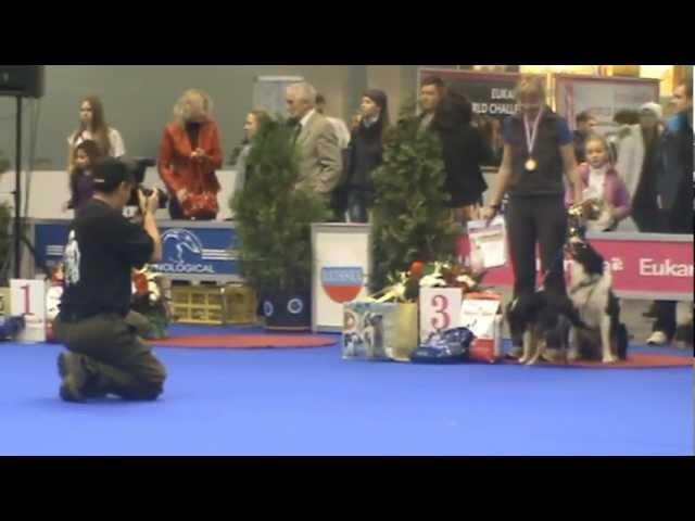 Russia awarded 2012 Obedience - Wonder WestSpacy & Galina Fedorova