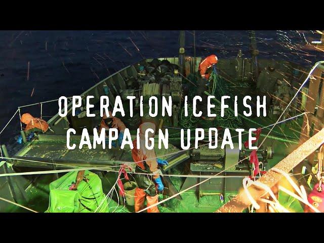 The Sam Simon Retrieves Illegal Gill Net Abandoned by Poachers