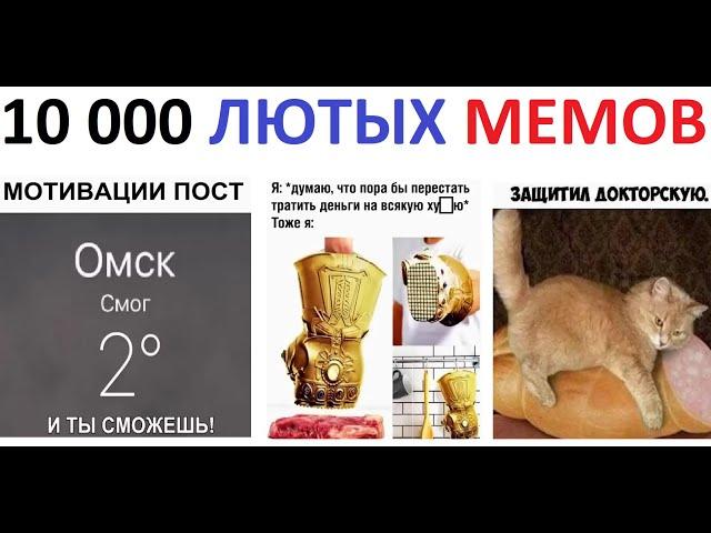 10 000 Лютых МЕМОВ. ОГРОМНАЯ ПОДБОРКА МЕМОВ с канала МАКСА МАКСИМОВА