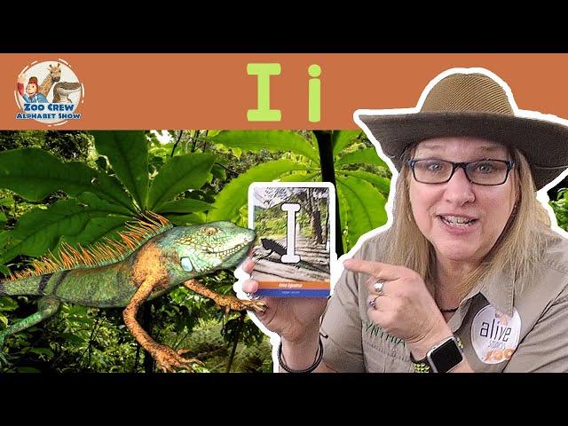 Zoo Crew Alphabet Show | Iguanas and Letter I