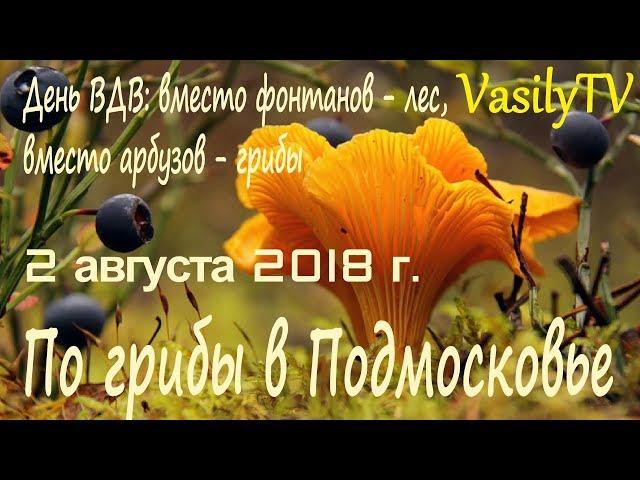 По грибы в Подмосковье 2 августа 2018 гДень ВДВ: вместо фонтанов – лес, вместо арбузов - грибы