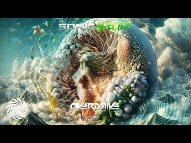 Sonic Species - Trance Is Life (Overdrive Remix)