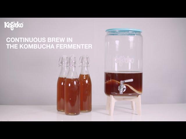 CONTINIOUS BREW IN THE KEFIRKO KOMBUCHA FERMENTER