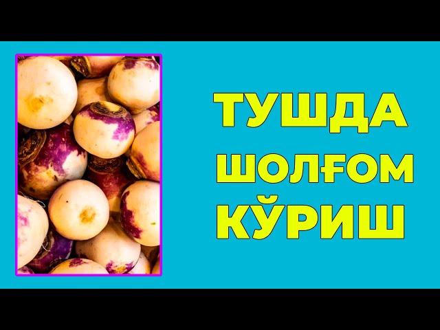 Туш табири - Тушда Шолгом куриш