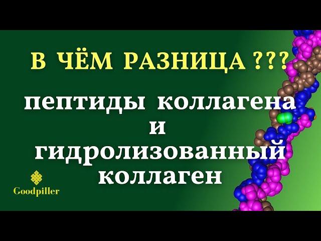 Пептиды коллагена.  Чем они отличаются от гидролизованного коллагена?