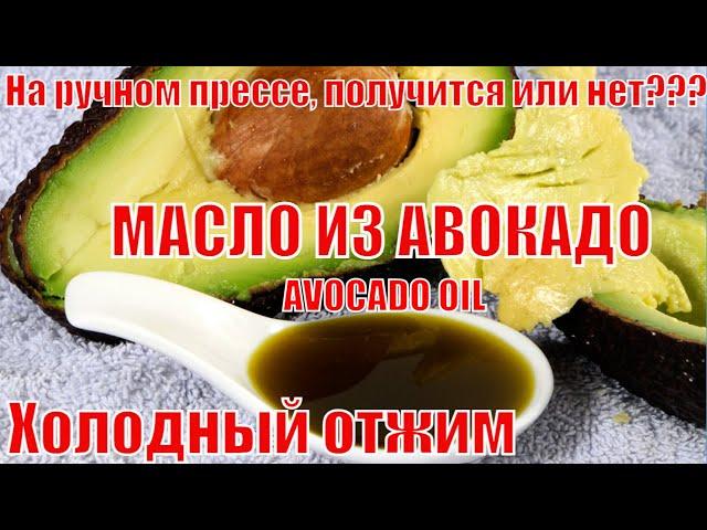 Сыродавленное масло из АВОКАДО. ЛИЧНЫЙ ОПЫТ. Холодный отжим масла АВОКАДО на ручном прессе.