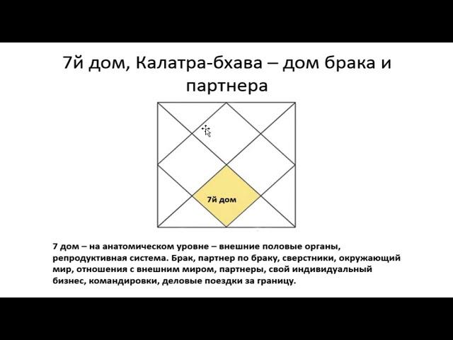 7-й дом гороскопа: основные характеристики - Василий Тушкин