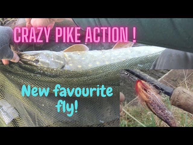 Brutal pike fishing in a small river! # UK fly fishing.