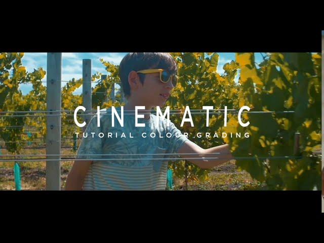 Cinematic Colour Grading in Kinemaster