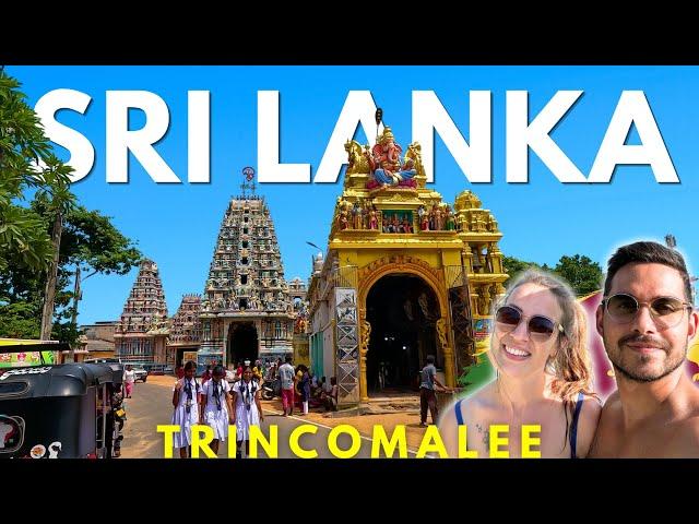 Trincomalee & Uppuveli - VIEL MEHR als nur Traumstrände & Whale Watching | SRI LANKA Travel Guide