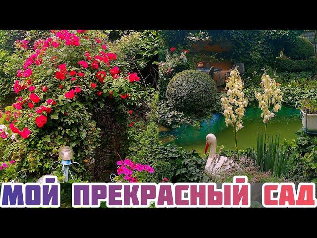 Мой прекрасный сад!