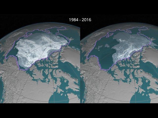 Perennial Arctic Sea Ice Decline 1984 – 2016 (4K)