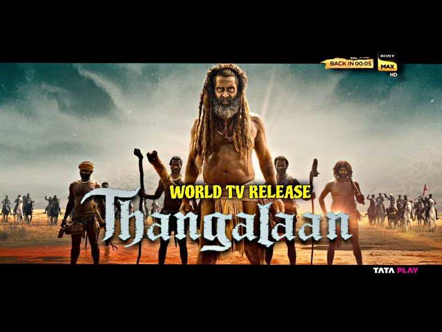 Thanglaan | World TV Release | Thanglaan Hindi OTT Release Date & Satellite Premiere Update 