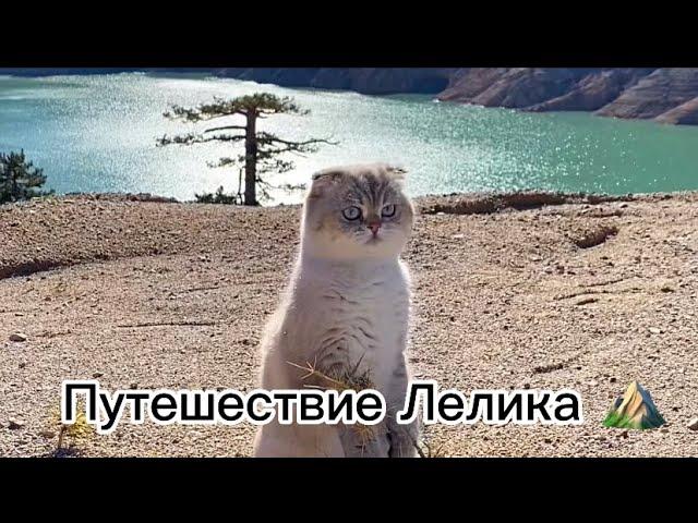 Путешествие Лелика