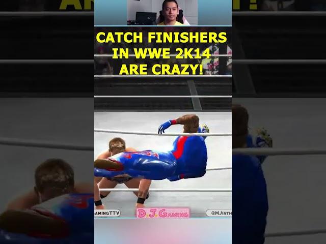 Insane Codebreaker Catch Finisher in WWE 2K14 OMG Moment