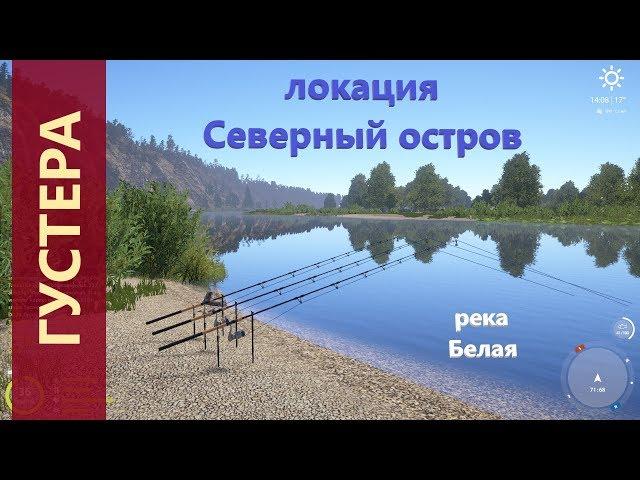 Русская рыбалка 4 - река Белая - Густера с островка