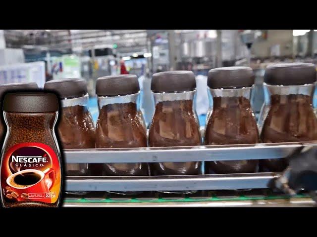 How Nescafe Coffee Is Made in the factory | Coffee Bean Harvesting Process