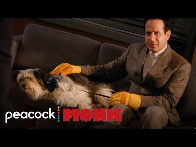 Mr. Monk Solves The Case Of The Puppy Murders | Monk