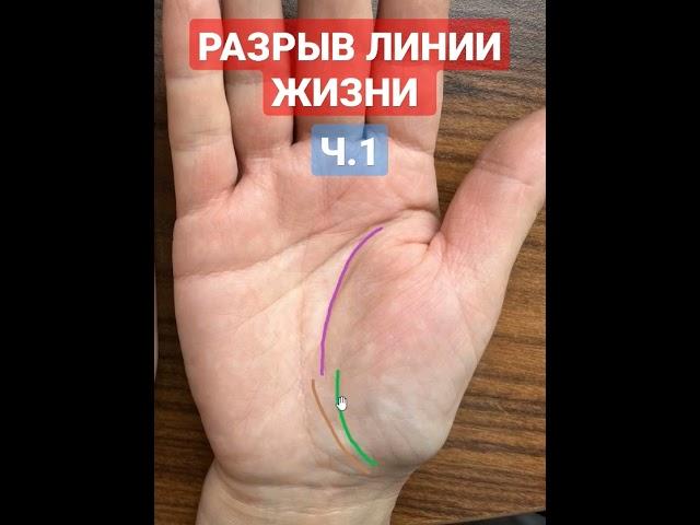 Линия жизни #palmistry #хиромантия #shorts  #short