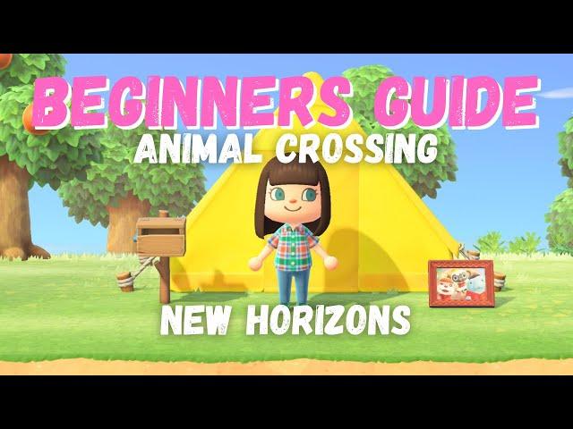 Beginners Guide to Animal Crossing New Horizons