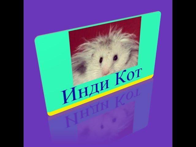 742 уровень   Инди кот