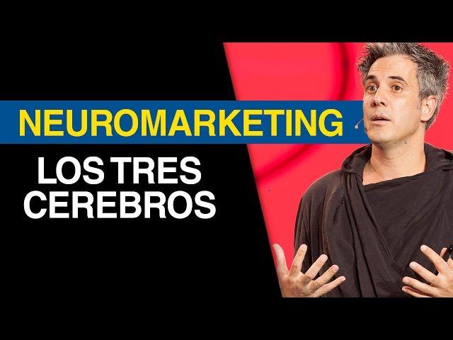 NEUROMARKETING El principio de los tres cerebros / Jürgen Klarić