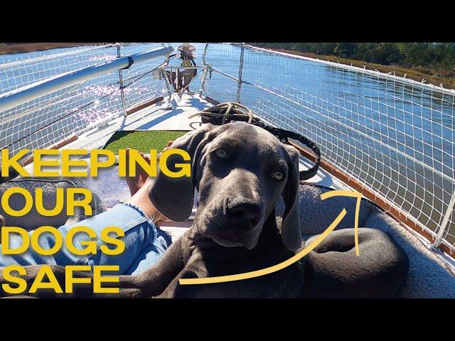 DOG PROOFING a Sailboat | Sailing Zephyr - Ep. 173