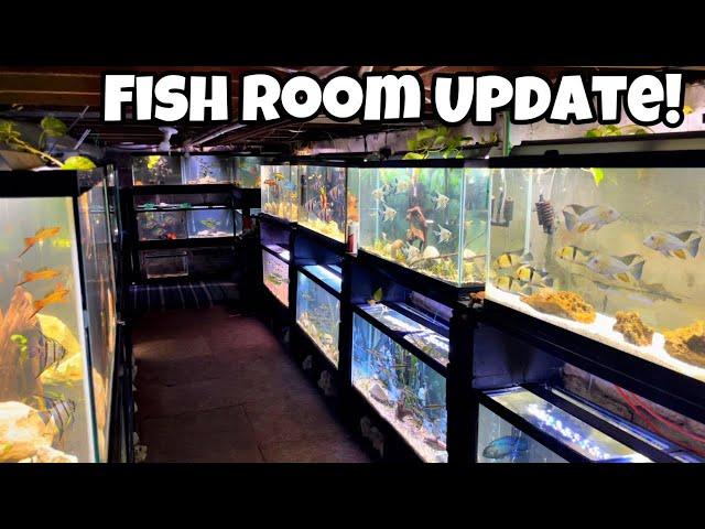 UPDATE ON THE NEW FISH FROM INDONESIA... 100's Of Fish!!!