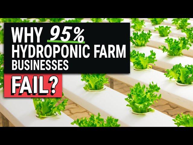 10 Reasons Hydroponic Farm Businesses Fail