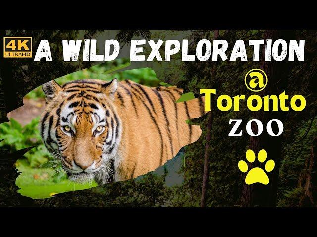 Toronto Zoo Tour 2024 - A Wild Exploration