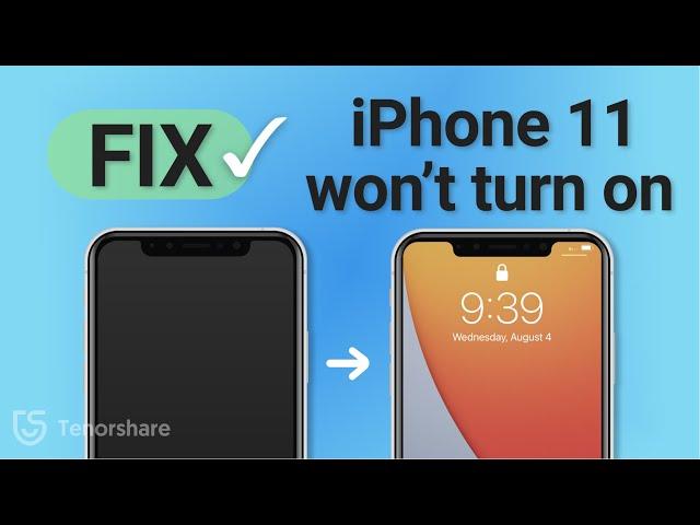 Top 6 Ways Fix iPhone 11 Won't Turn on 2023