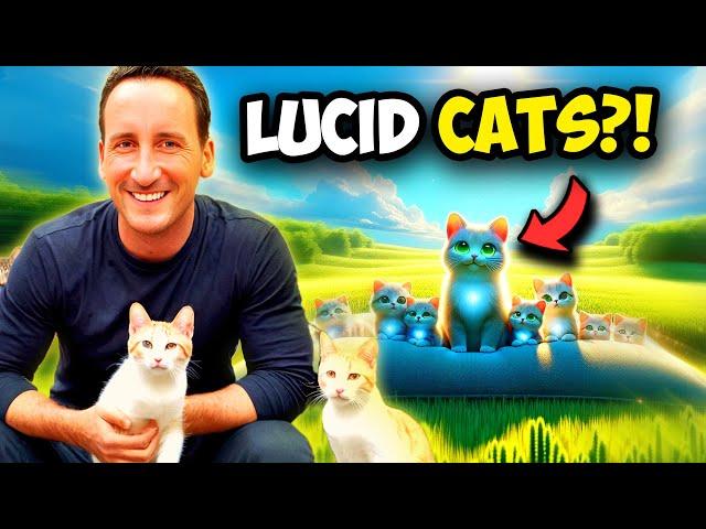 Want Easy Lucid Dreams? Just Act Like a Cat!