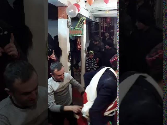 Туи боибар