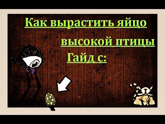 Как вырастить яйцо высокой птицы:) в Don't starve together