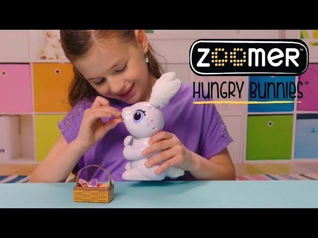 Zoomer | Hungry Bunnies | How To