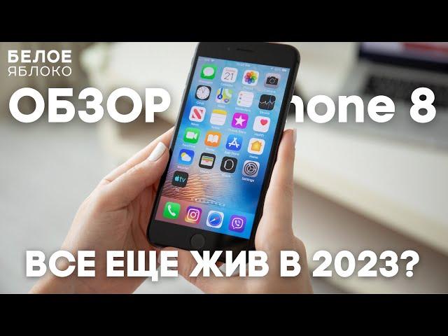 Обзор iPhone 8 | Все еще можно пользоваться? | По-настоящему бюджетный iPhone на 2023 год