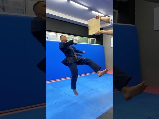 TAEKWONDO KICKS / TAEKWONDO TRICKS