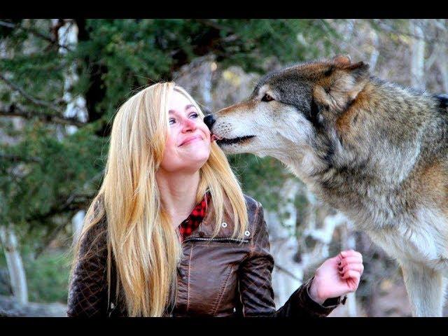 Join the Pack at Colorado Wolf And Wildlife Center