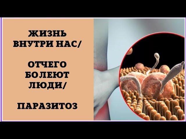 ПАРАЗИТЫ / ЛОЖНЫЕ ДИАГНОЗЫ ВРАЧЕЙ/ КАК БЫТЬ? / Юлия ШИ