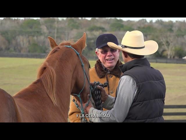 Benjamin Leon Jr. 40 Years in the Paso Fino Breed