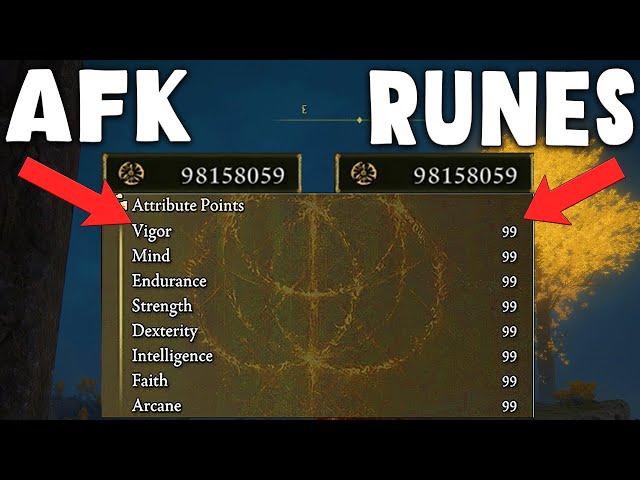 FULLY AFK UNLIMITED RUNES GLITCH IN ELDEN RING!