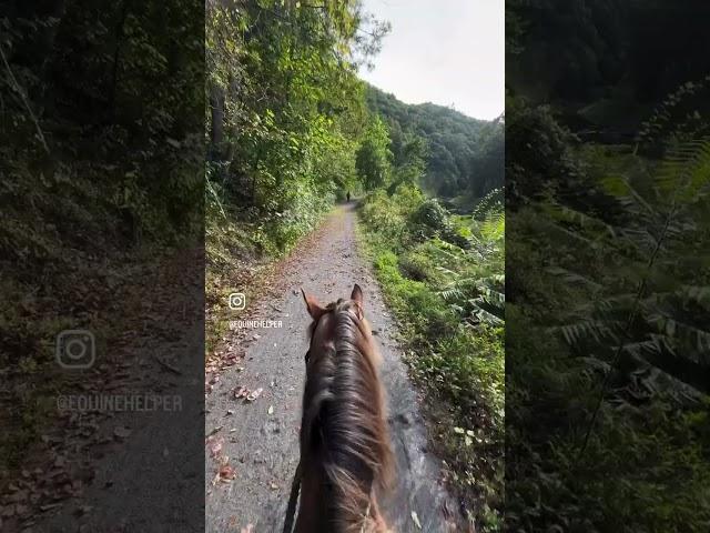 Riding the Horses on the Greenbrier River Trail