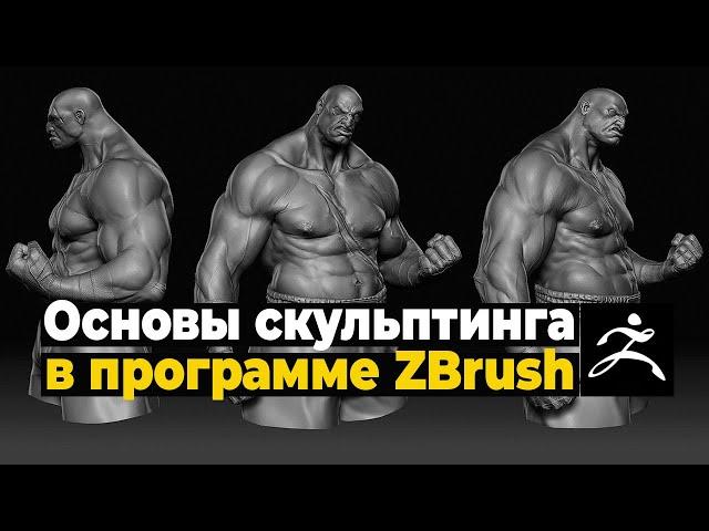 Основы скульптинга в программе ZBrush с нуля